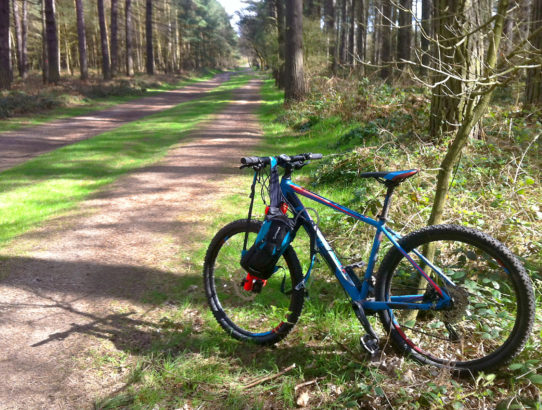 Cycling Sherwood Pines' Blue Route