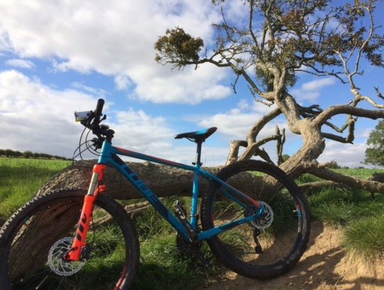 The Sandstone Way a Great MTB Route, Part I